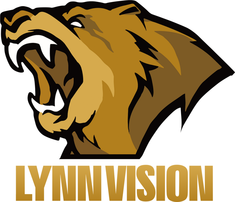 Lynn Vision Gaming